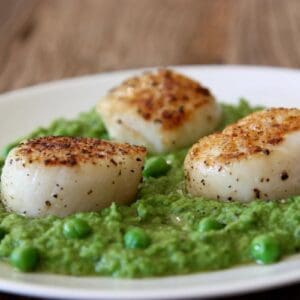 Seared Scallop