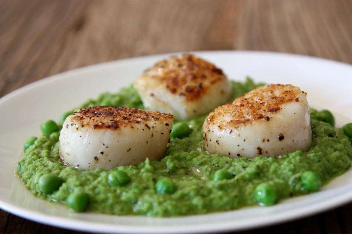 Seared Scallop